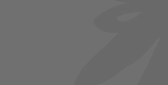 Website Design Rugby