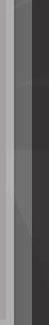 Website Design Rugby