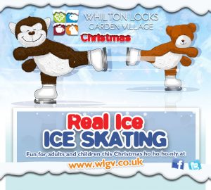 Ice Skating Northamptonshire