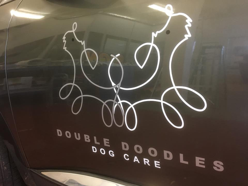 double doodles dog care