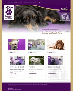 Website Design – Paws at the Shires