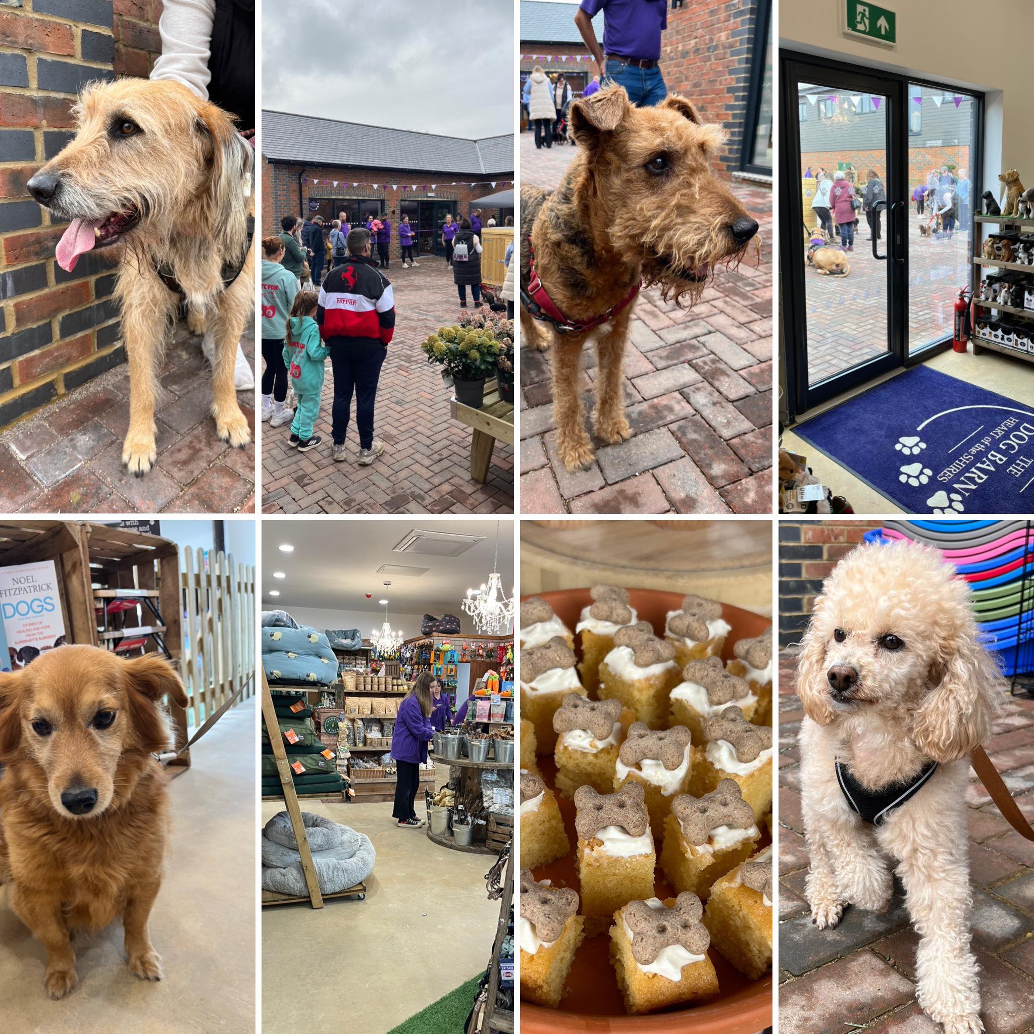 The Dog Barn at Heart of the Shires